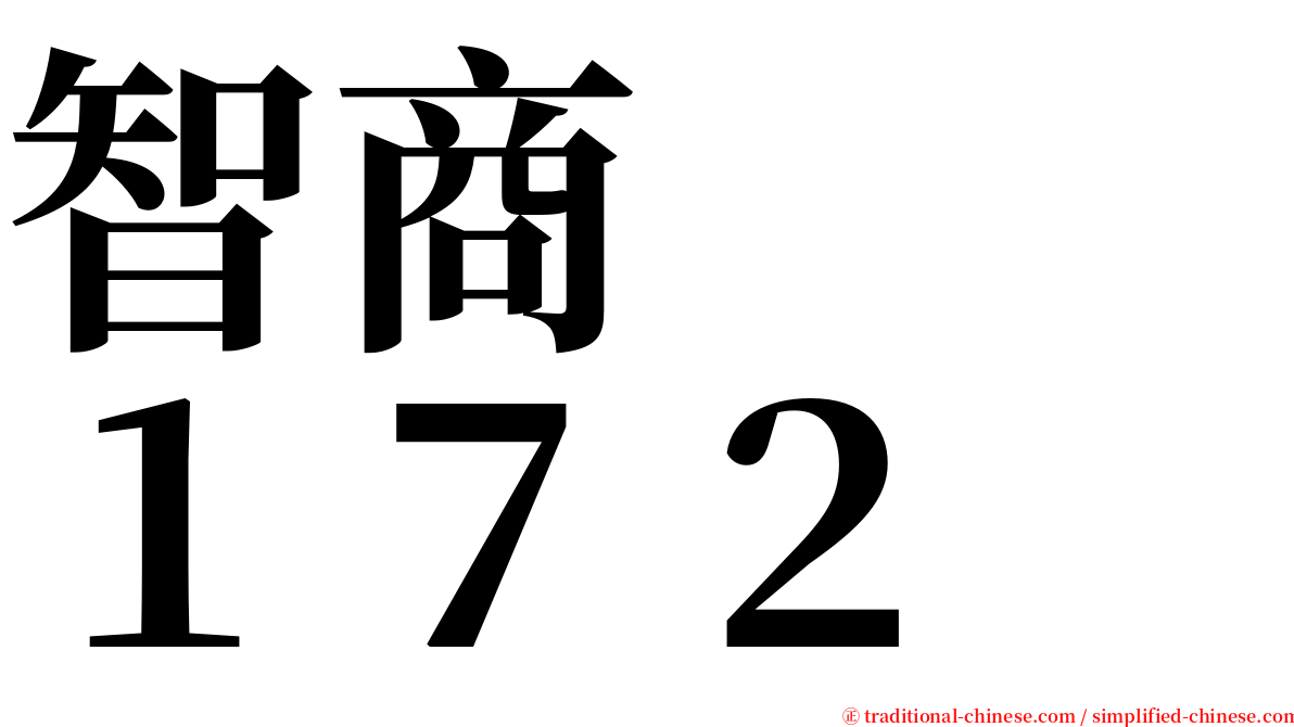 智商　　１７２ serif font